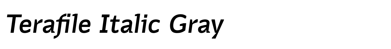 Terafile Italic Gray